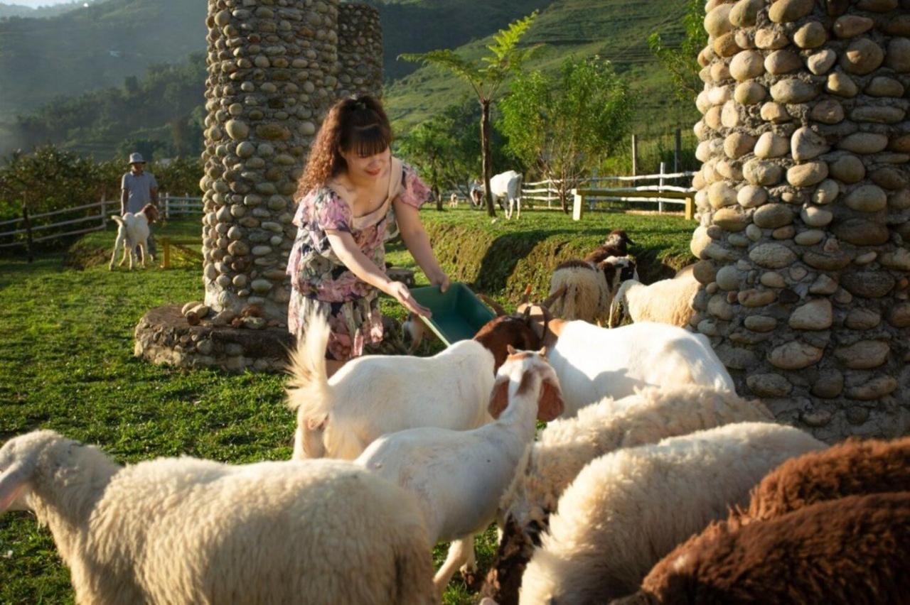O Chau Homestay Lao Cai Dış mekan fotoğraf
