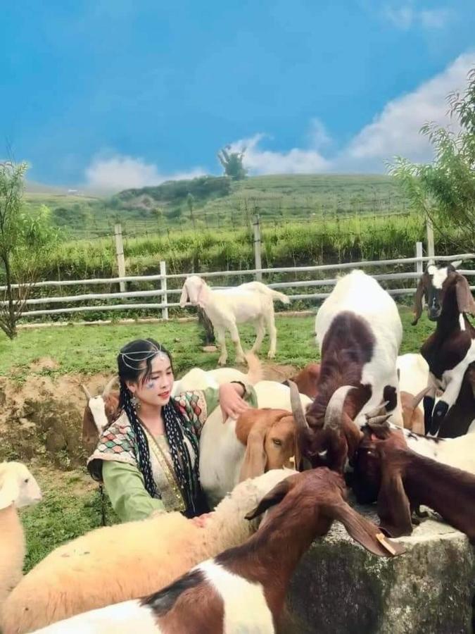 O Chau Homestay Lao Cai Dış mekan fotoğraf